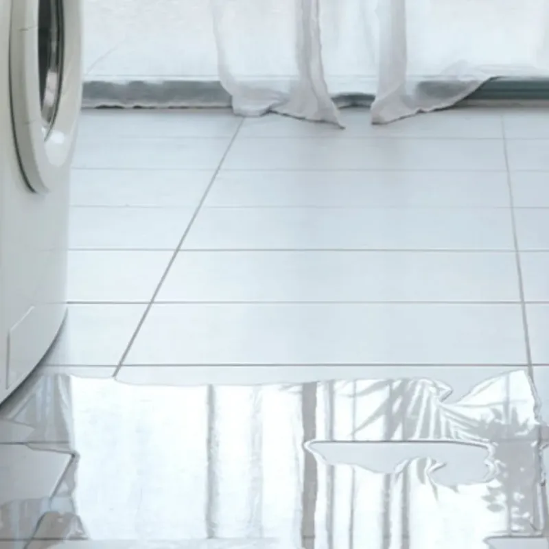 Appliance Leak Cleanup in Warrior, AL