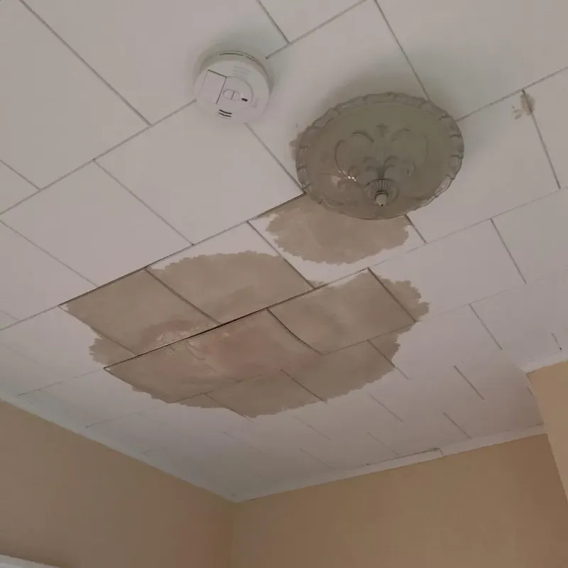 Ceiling Water Damage Repair in Warrior, AL