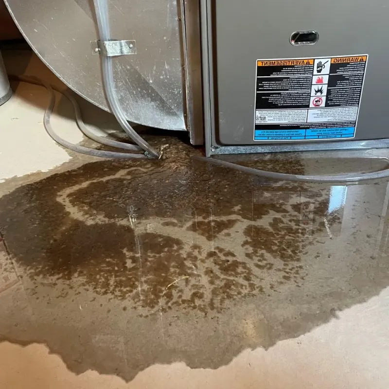 Pipe Burst and Leak Restoration in Warrior, AL