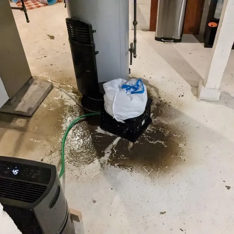 Sewage Backup Cleanup Service in Warrior, AL